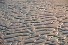 Spår i sand 2